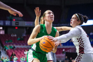 Charleston Catholic, Wheeling Central headline Class AA girls all-state basketball list